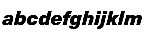 Neue Haas Unica Paneuropean Black Italic