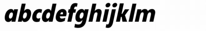 Neue Reman Gt Bold Condensed Italic