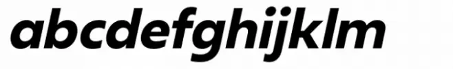 Neue Reman Gt Bold Italic