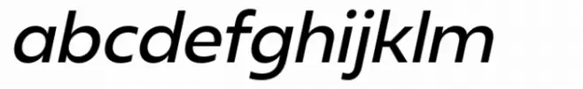 Neue Reman Gt Medium Italic