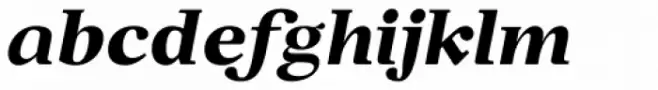 New Prairie Bold Italic