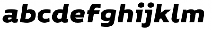 Niemeyer Black Italic