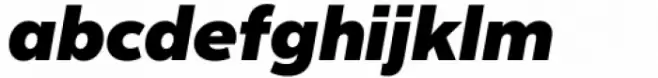 Nietos Black Italic