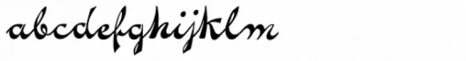 Novelty Script