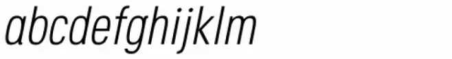 Octagen Thin Italic