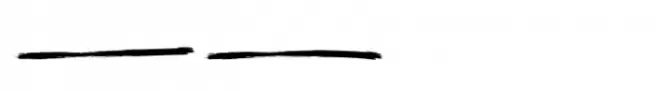 Overland Brush Regular Swash