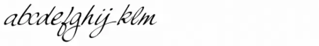 Palisade Italic