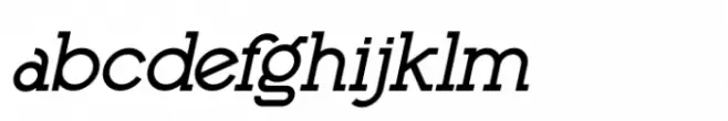 Palmera Outline Italic