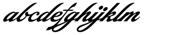 Picturama Founder Alternate Italic