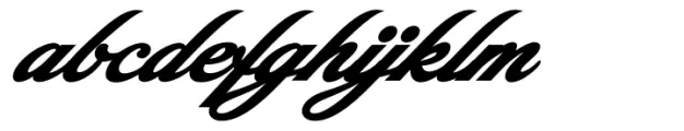 Picturama Founder Bold Italic