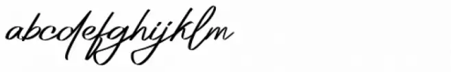 Platinum Signature Regular