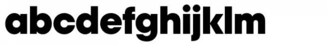 Polin Sans Extrabold