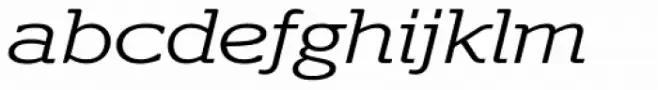 Polyphonic Extended Light Italic