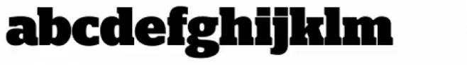 Polyphonic Narrow Black