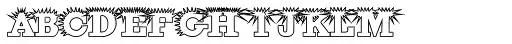 Porcupine White