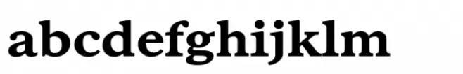 Poynter Serif RE Bold