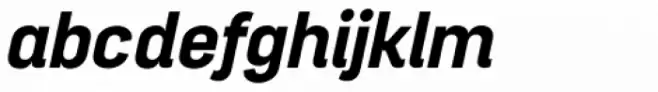 Project Sans Bold Italic