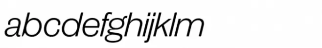 Publish Gothic Expanded Std Light Italic