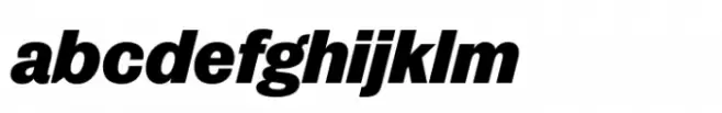 Publish Gothic Std Black Italic