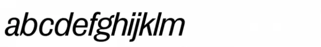 Publish Gothic Std Medium Italic