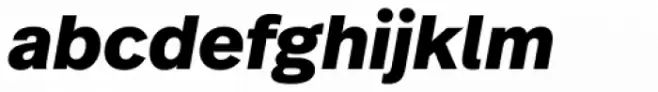 Real Text Pro Extrabold Obl