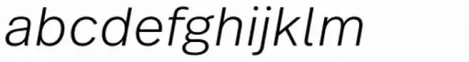 Real Text Pro Light Obl