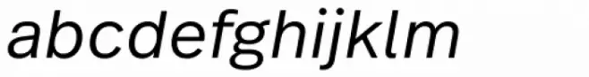 Real Text Pro Semilight Obl