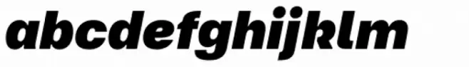 Referenz Grotesk Black Italic