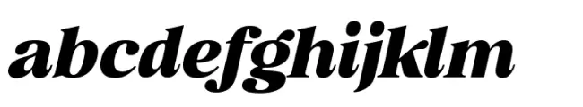 Retro Voice Black Expanded One Italic