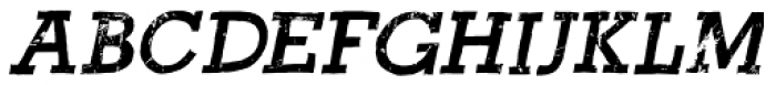 Return Policy Italic