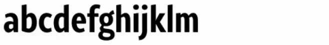 Rival Sans Narrow Bold
