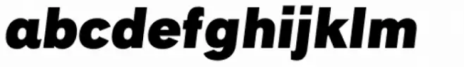 Rock Star Narrow Black Italic