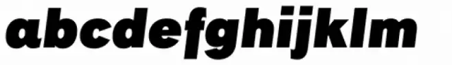 Rock Star Narrow Ultra Black Italic