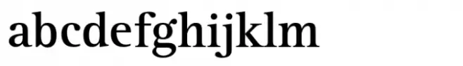 Rotis Serif Hellenic Std Bold