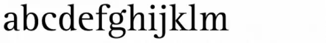 Rotis Serif Pro 55 Cyrillic Roman