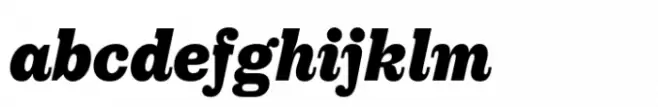 Royal Theater Serif Std Black Italic