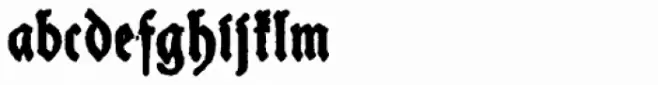 Schneider Buch Deutsch Bold