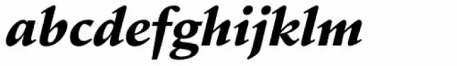 Schneidler Black Italic