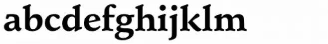 Schneidler Mediaeval Bold