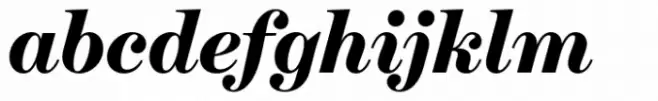 Schotis Display Black Italic