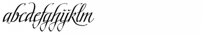 Scriptissimo End