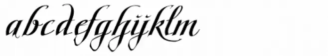 Scriptissimo Forte Swirls End