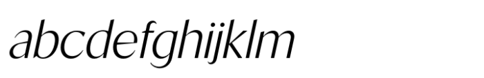 Segnieur Modern Light Italic