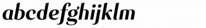 Senlot Norm Black Italic