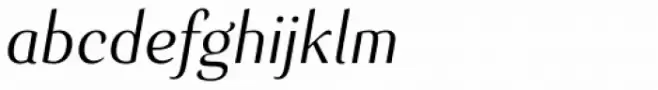 Senlot Norm Book Italic