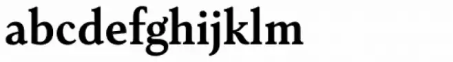 Senlot Serif Norm Bold