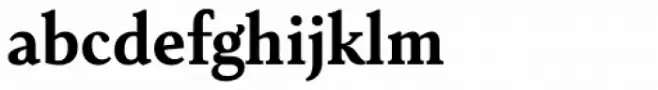 Senlot Serif Norm Ex Bold