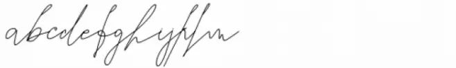 Seventeen Winter Signature