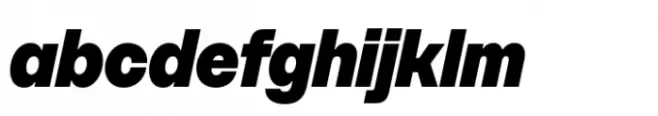 SFT Schrifted Sans Compact Black Italic