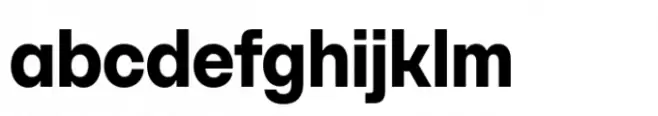 SFT Schrifted Sans Compact Bold